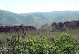   لقطات من قرية حسنلي في منطقة جبرائيل -   فيديو    