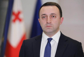 غاريباشفيلي يرحب بخطوة أذربيجان