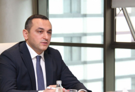     رامين بيرملي:   تهدف TƏBIB إلى تحسين جودة الخدمات الطبية وتوافرها في أذربيجان  