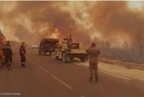 حرائق الغابات تتمدد في تونس