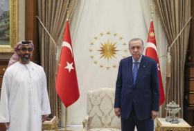 أردوغان يستقبل وفدا إماراتيا برئاسة طحنون بن زايد
