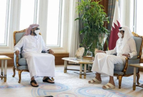 أمير قطر يستقبل وفدا إماراتيا برئاسة الشيخ طحنون بن زايد