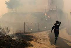 تعويض جميع الفلاحين المتضررين من حرائق الغابات في الجزائر
