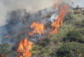 الطوارئ تسخر مروحية لإخماد الحرائق الغابية في ياريملي