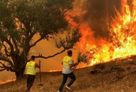 الجزائر تعلن إخماد حرائق في البلاد