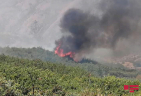   اخماد حريق في الاراضي الجبلية في أغسو -   فيديو    