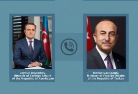    وزيرا خارجية أذربيجان وتركيا يناقشان حرائق الغابات  