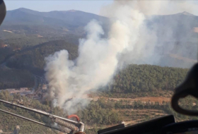 إخماد حريق بإحدى الغابات بولاية موغلا تركيا