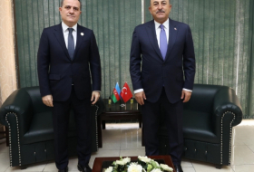   وزير الخارجية الاذربيجاني يلتقي نظيره التركي  