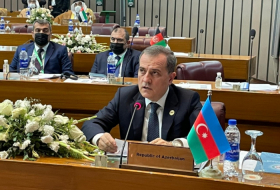     جيهون بايراموف:   أذربيجان مستعدة لدعم مساعي منظمة التعاون الإسلامي في حل الوضع الانساني في أفغانستان  