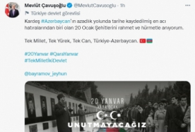 وزير الخارجية التركي يكتب في تغريدة على تويتر بمناسبة مأساة 20 يناير