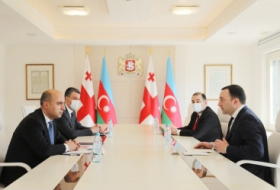 وزير التعليم الأذربيجاني يلتقي رئيس وزراء جورجيا