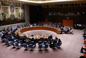 مسؤولان أمميان يطالبان مجلس الأمن بتمديد آلية التحقيق المشتركة في سوريا
