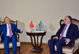 اجتماع ثنائى بين وزراء خارجية أذربيجان وتركيا