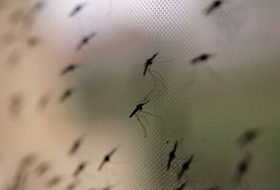 7 أسئلة مهمة حول الملاريا
